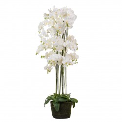 Orquídea em Poliester Branca